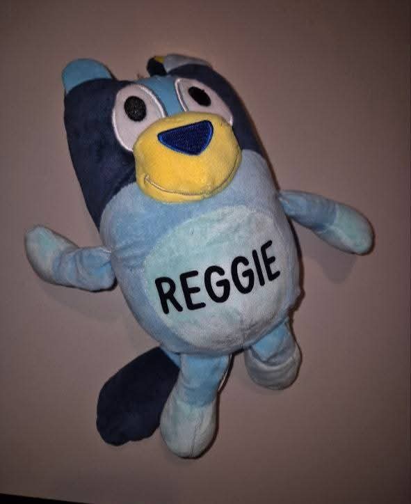 Personalised bluey