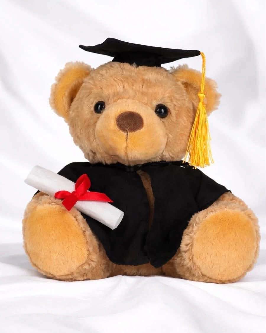 Graduation bear