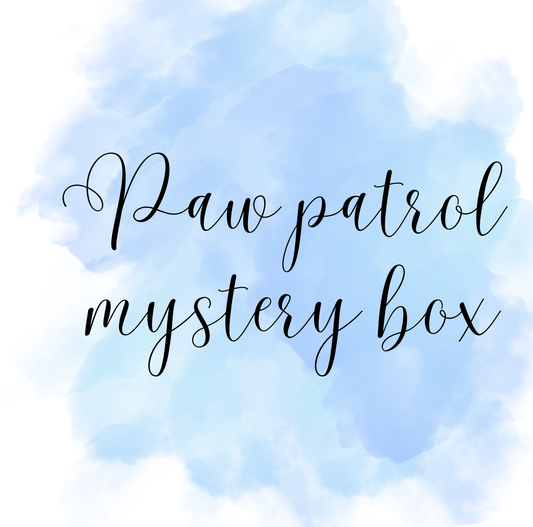 Paw patrol mystery box