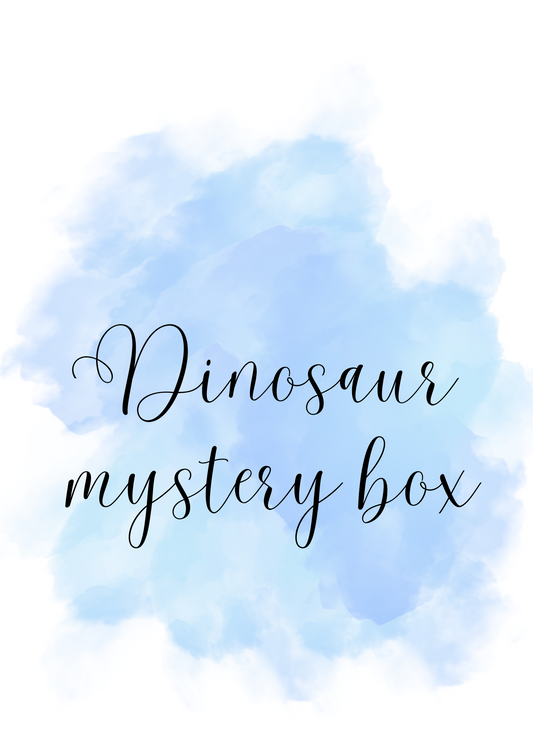 Dinosaur mystery box